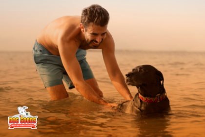 Tem que dar banho no cachorro depois da praia?